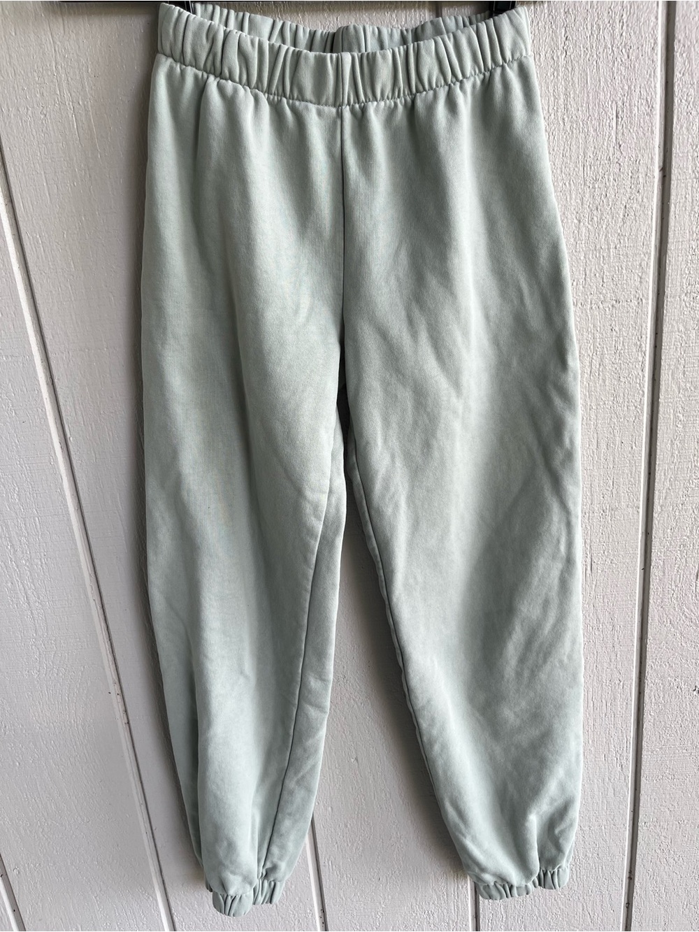 John Galt Fleece Jogger Sweatpants in Pale Sage‎ Green